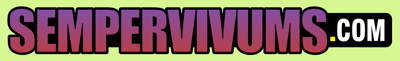 Sempervivums