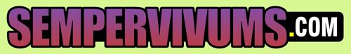 Sempervivums